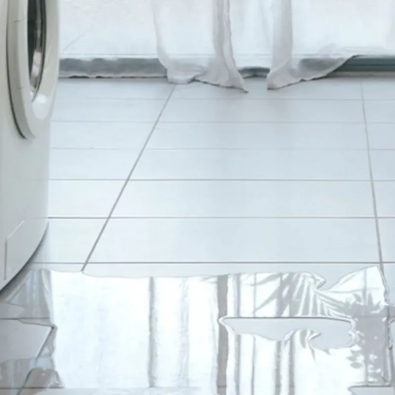 Appliance Leak Cleanup in Lakeland, FL
